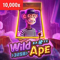 Hoàn trả hàng ngày cho casino